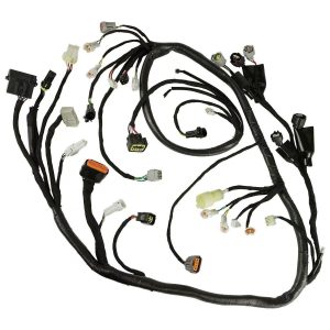 Customized Automotive Cable